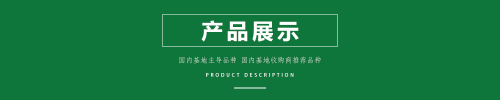 1557804287587476.jpg 00新產(chǎn)品.jpg