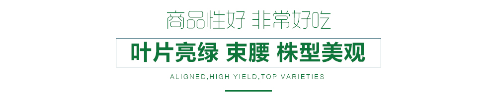 1557814112834499.jpg 詳情頁12.jpg