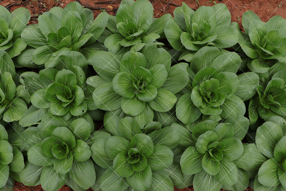 1557814130212922.jpg IMG_4180.jpg