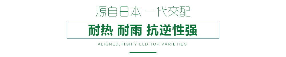 1557817772865176.jpg 詳情頁(yè)11.jpg