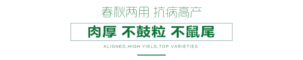 1557970894170516.jpg 詳情頁21.jpg