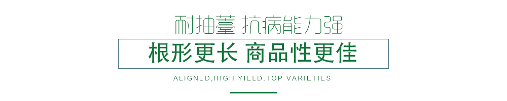 1585789651661257.jpg 03.jpg