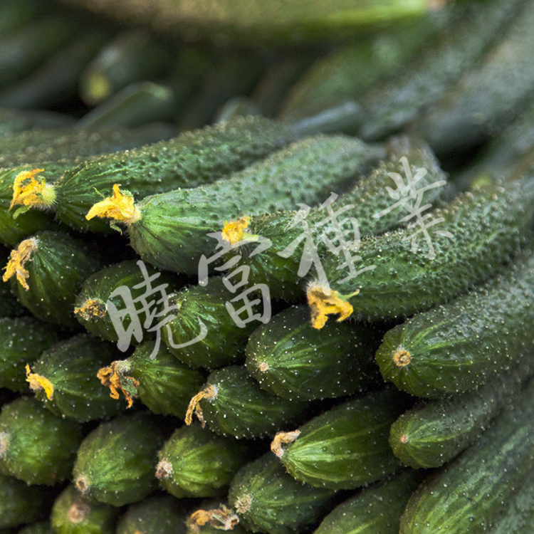 1585991731612529.jpg 06.jpg