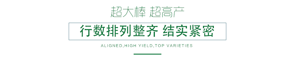 1600248607963400.jpg 07.jpg