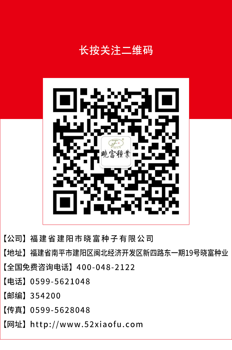 1602148061329389.jpg 14.jpg