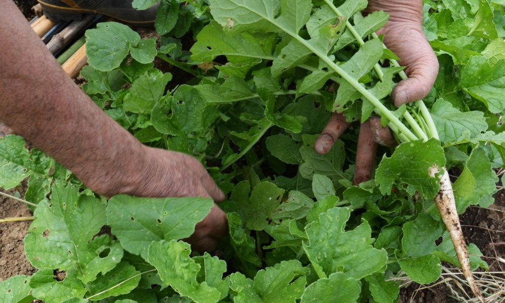 1608458653982646.jpg 微信圖片_20201220180112.jpg