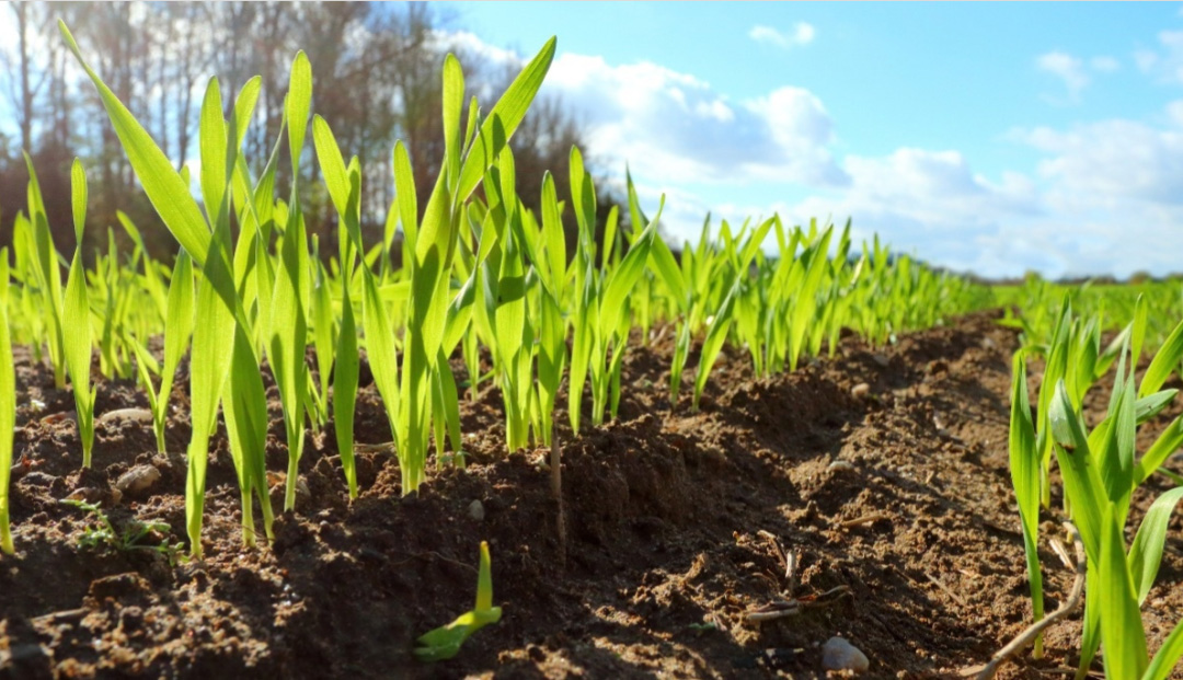 1646191157495133.jpg 06.jpg